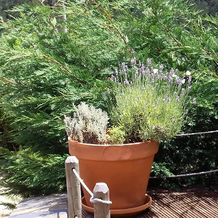 Κατάλυμα σε φάρμα Patio Do Xisto