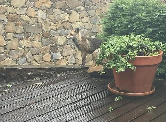 Patio Do Xisto Séjour à la ferme Gondramaz