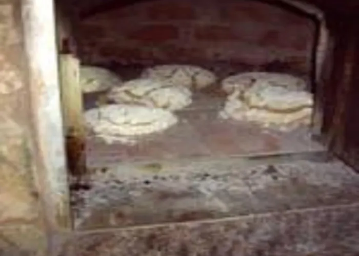 Séjour à la ferme Patio Do Xisto