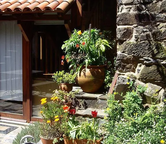 Lantgård Patio Do Xisto