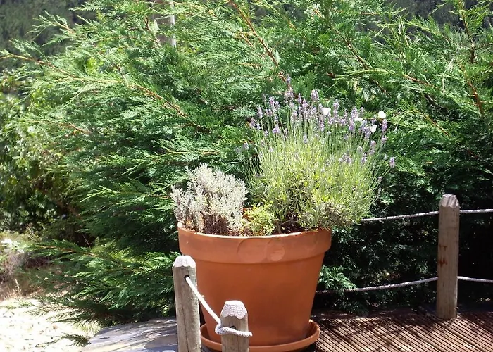 Séjour à la ferme Patio Do Xisto